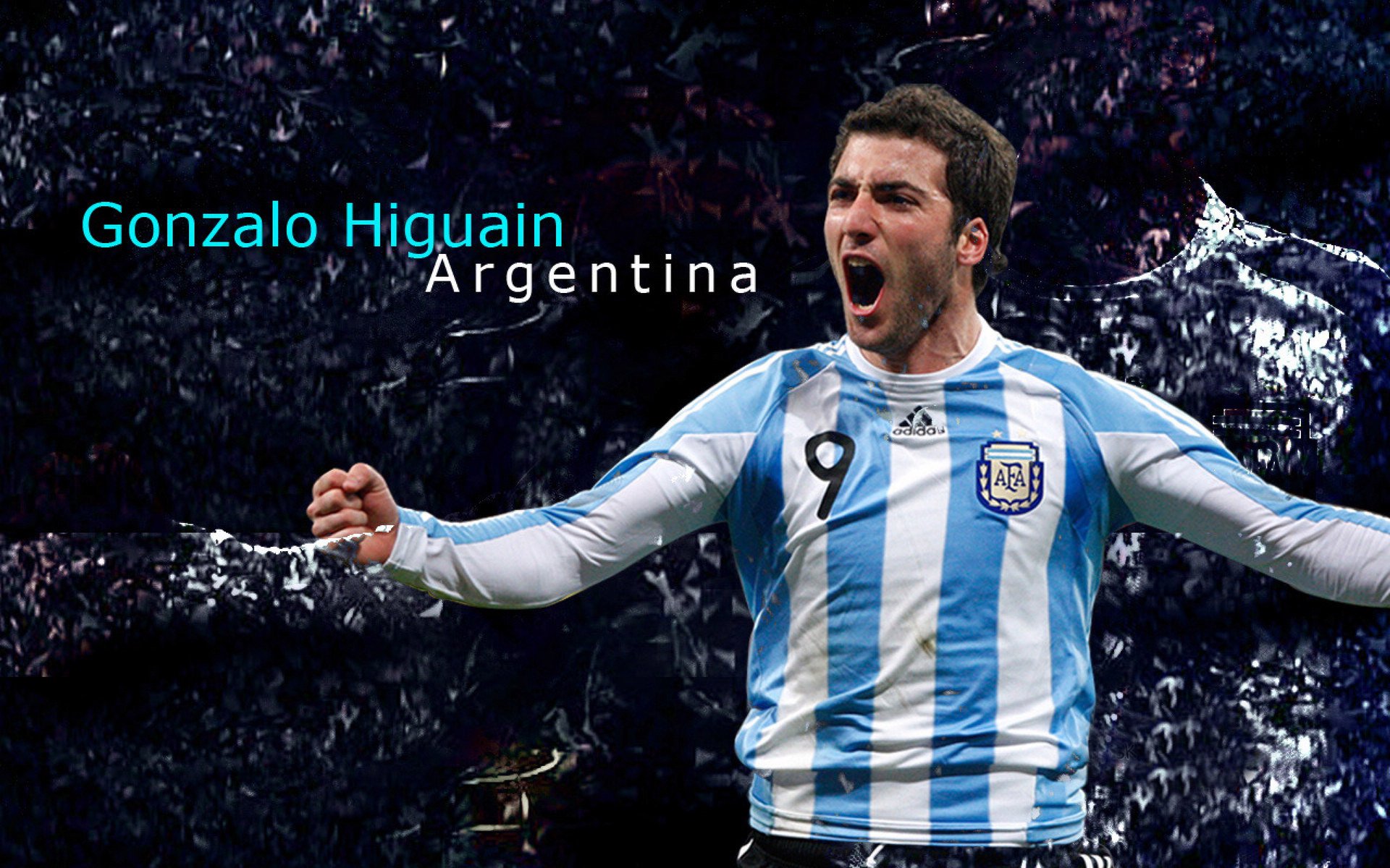 _老鹰速度快，场上节奏紧凑激烈_，老鹰飞得快不快