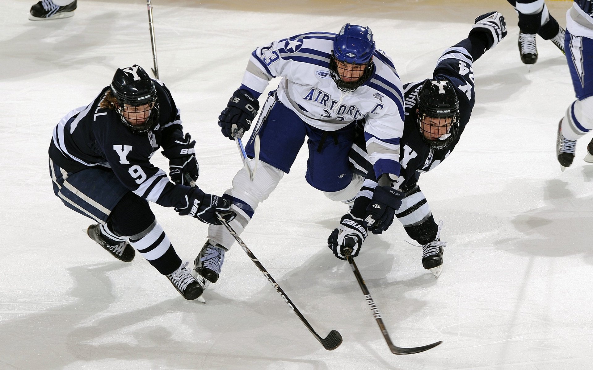 体育赛事志愿者招募启动仪式，体育赛事志愿者招募启动仪式讲话